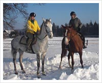 Vinter i Jindřichův Hradec