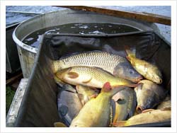 Rybolov na Hrutkovských rybnícich